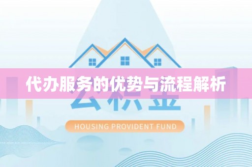 海安代办服务的优势与流程解析