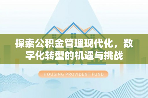 海安探索公积金管理现代化，数字化转型的机遇与挑战