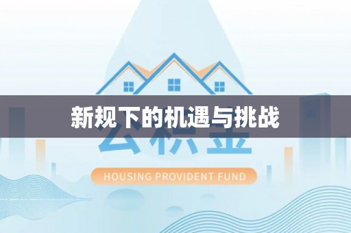 海安新规下的机遇与挑战