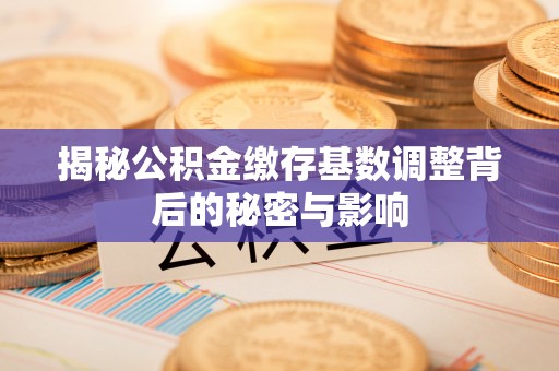海安揭秘公积金缴存基数调整背后的秘密与影响