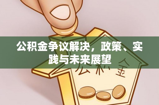 海安公积金争议解决，政策、实践与未来展望