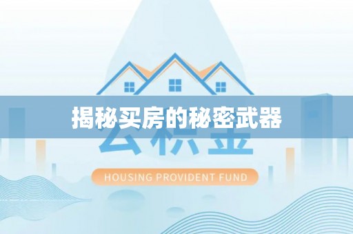 海安揭秘买房的秘密武器