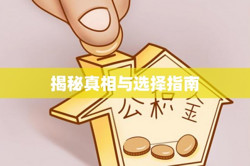 海安揭秘真相与选择指南