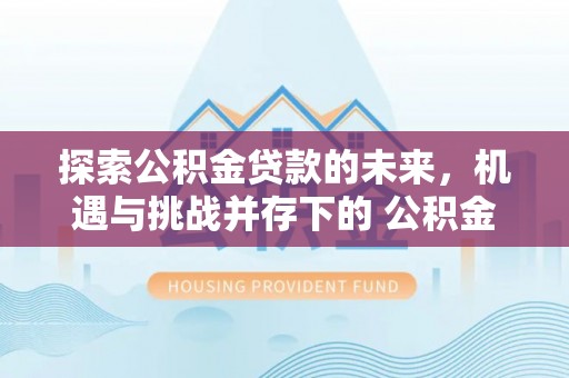 海安探索公积金贷款的未来，机遇与挑战并存下的 公积金贷款风险防控