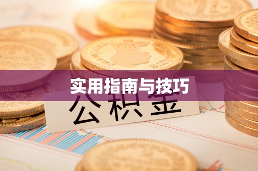 海安实用指南与技巧