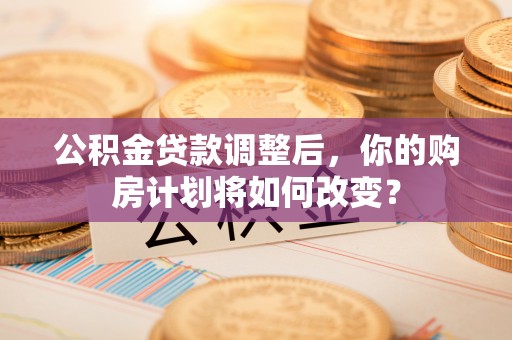 海安公积金贷款调整后，你的购房计划将如何改变？