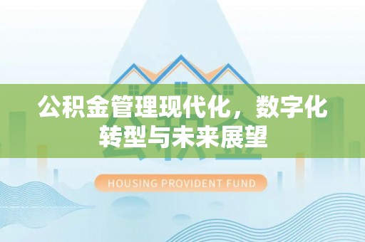 海安公积金管理现代化，数字化转型与未来展望