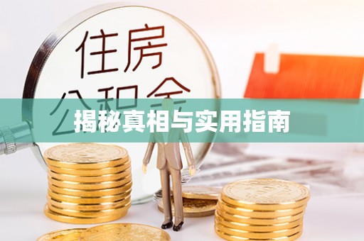 海安揭秘真相与实用指南