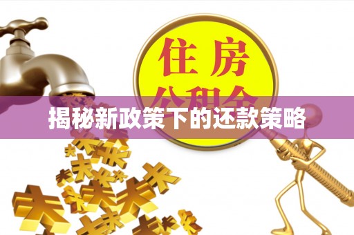 海安揭秘新政策下的还款策略