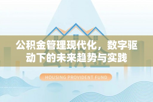 海安公积金管理现代化，数字驱动下的未来趋势与实践
