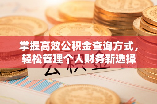 海安掌握高效公积金查询方式，轻松管理个人财务新选择