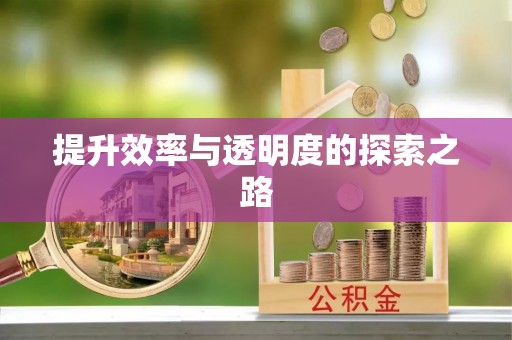 海安提升效率与透明度的探索之路