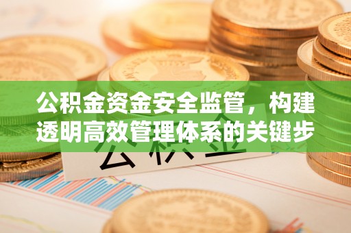 海安公积金资金安全监管，构建透明高效管理体系的关键步骤