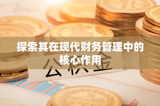 海安探索其在现代财务管理中的核心作用