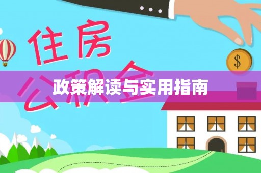 海安政策解读与实用指南
