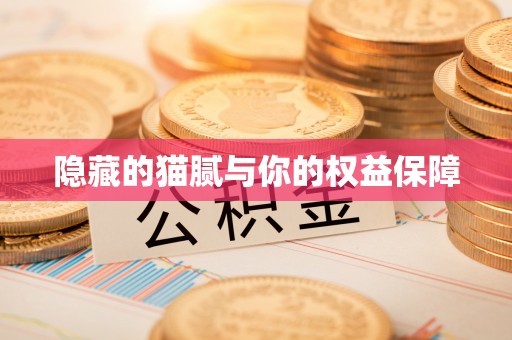 海安隐藏的猫腻与你的权益保障