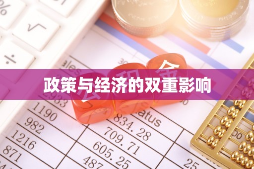 海安政策与经济的双重影响