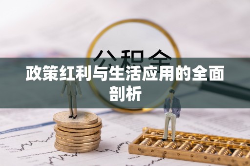 海安政策红利与生活应用的全面剖析