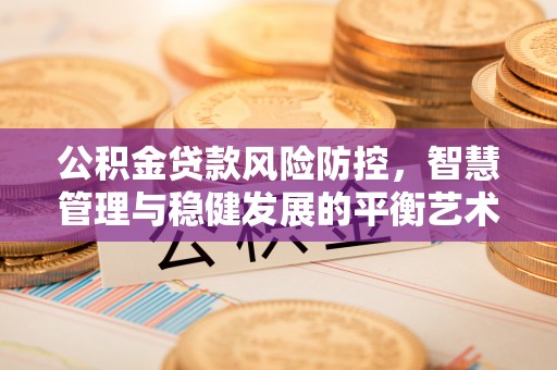 海安公积金贷款风险防控，智慧管理与稳健发展的平衡艺术