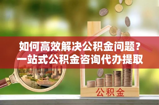 海安如何高效解决公积金问题？一站式公积金咨询代办提取服务全解析