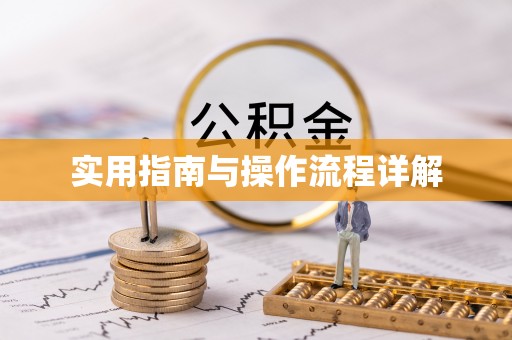 海安实用指南与操作流程详解