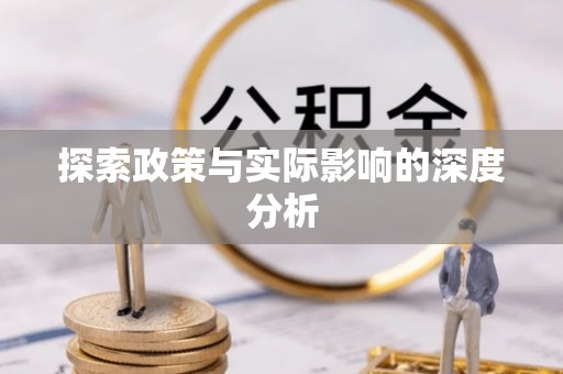 海安探索政策与实际影响的深度分析