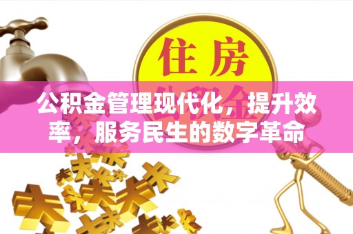 海安公积金管理现代化，提升效率，服务民生的数字革命