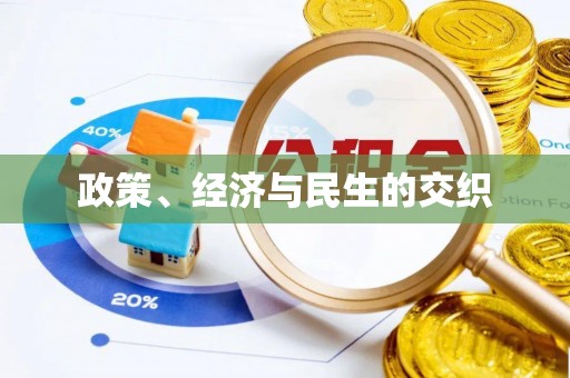 海安政策、经济与民生的交织