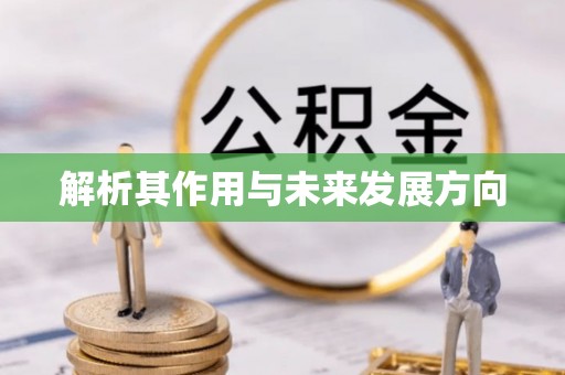 海安解析其作用与未来发展方向