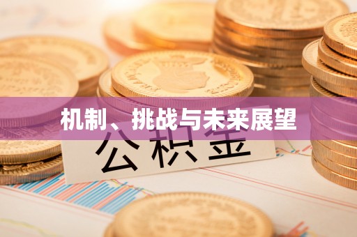 海安机制、挑战与未来展望