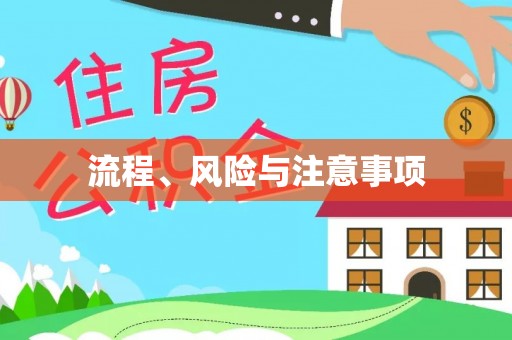 海安流程、风险与注意事项